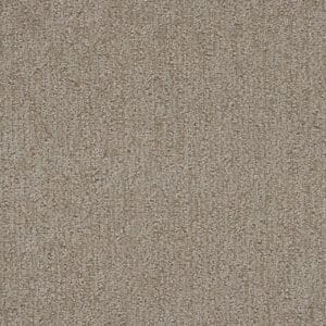 Dreamweaver Carpet Finishing Touch Old Soul Carpet 2835_2870