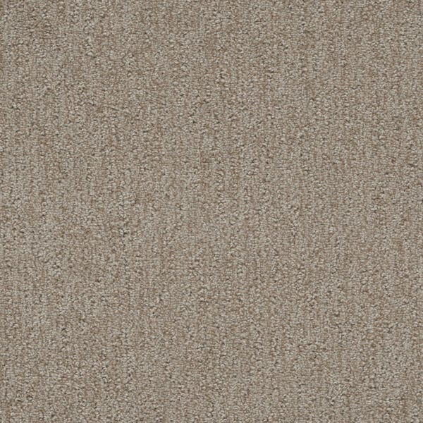 Dreamweaver Carpet Finishing Touch Old Soul Carpet 2835_2870