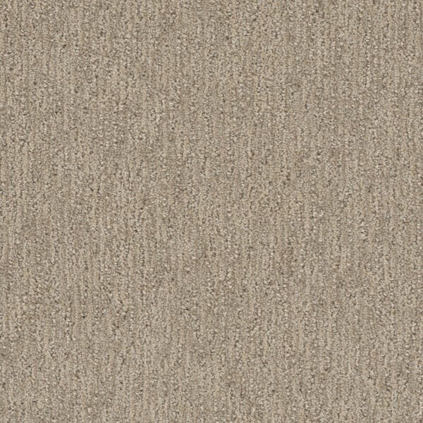Dreamweaver Carpet Finishing Touch Dulce Carpet 2835_2937