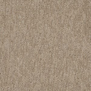 Dreamweaver Carpet Finishing Touch Shortbread Carpet 2835_2946