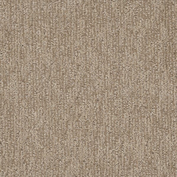 Dreamweaver Carpet Finishing Touch Shortbread Carpet 2835_2946