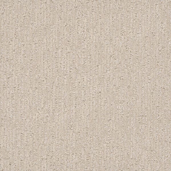 Dreamweaver Carpet Finishing Touch Macaroon Carpet 2835_2951