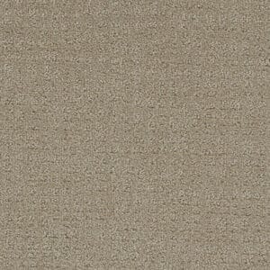 Dreamweaver Carpet Common Ground FIELDCREST Carpet 2845_6001