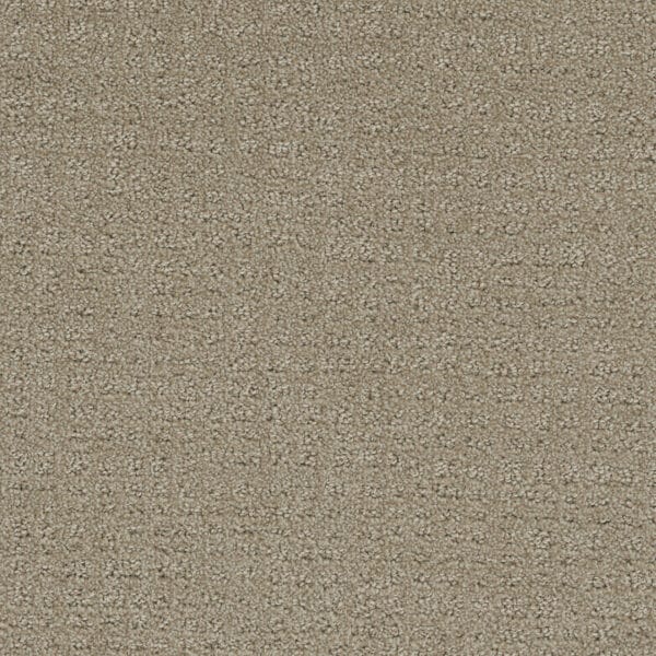 Dreamweaver Carpet Common Ground FIELDCREST Carpet 2845_6001
