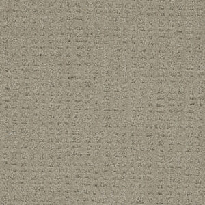 Dreamweaver Carpet Common Ground BEACH HOUSE Carpet 2845_6005