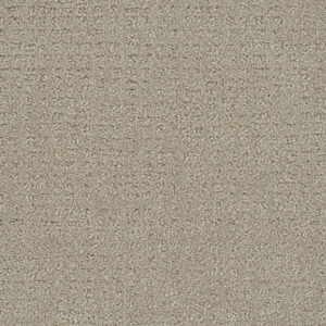 Dreamweaver Carpet Common Ground MOON MIST Carpet 2845_6006