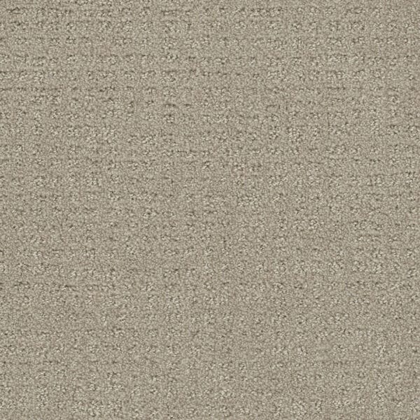 Dreamweaver Carpet Common Ground MOON MIST Carpet 2845_6006