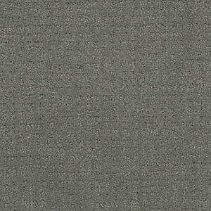 Dreamweaver Carpet Common Ground SKYWAY Carpet 2845_6009