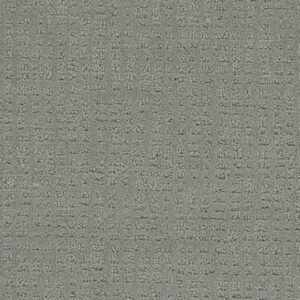 Dreamweaver Carpet Common Ground STILLWATER Carpet 2845_6014