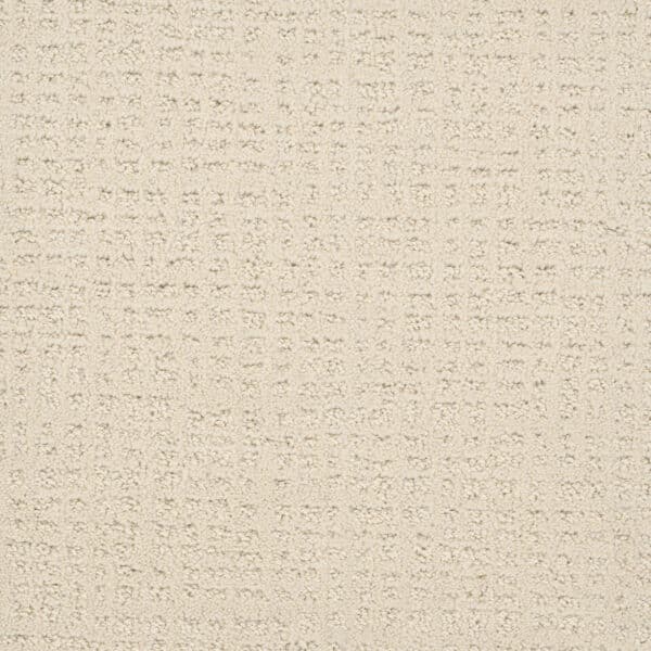 Dreamweaver Carpet Common Ground VANILLA WHIP Carpet 2845_6022