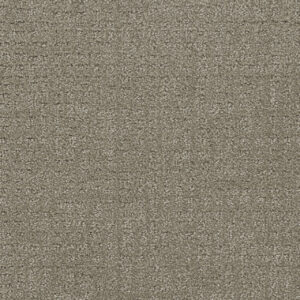 Dreamweaver Carpet Common Ground STRATOSPHERE Carpet 2845_6054