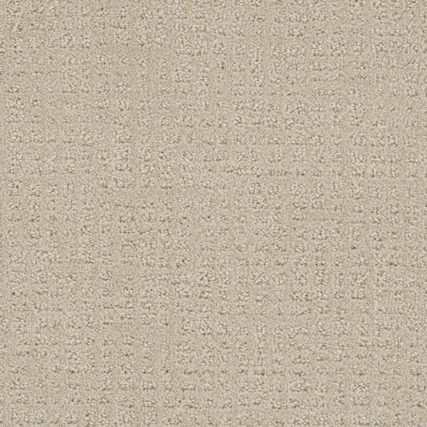 Dreamweaver Carpet Common Ground CHAMPAGNE FIZZ Carpet 2845_6309