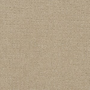 Dreamweaver Carpet Common Ground SOFT PINE Carpet 2845_6317