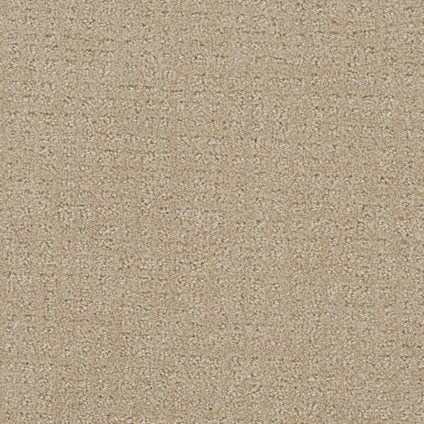 Dreamweaver Carpet Common Ground SOFT PINE Carpet 2845_6317
