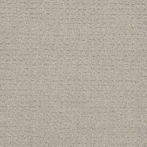 Dreamweaver Carpet Common Ground SNOW CAP Carpet 2845_6319