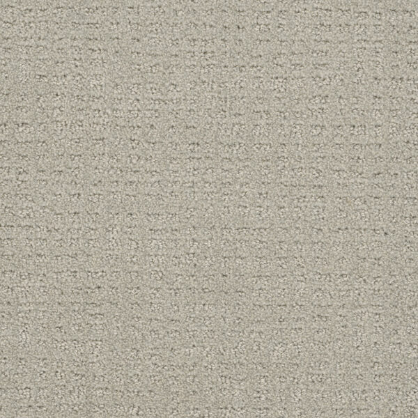 Dreamweaver Carpet Common Ground SNOW CAP Carpet 2845_6319
