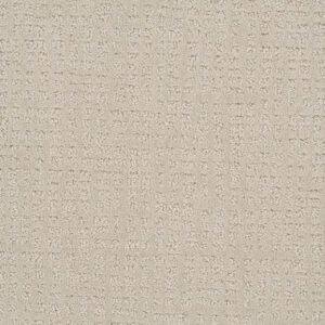 Dreamweaver Carpet Common Ground ALABASTER Carpet 2845_6328