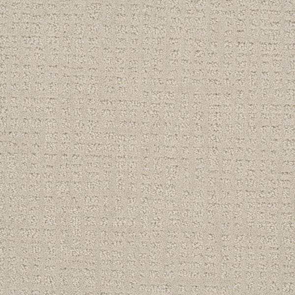 Dreamweaver Carpet Common Ground ALABASTER Carpet 2845_6328