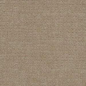 Dreamweaver Carpet Common Ground WARM SAND Carpet 2845_6339
