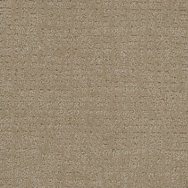 Dreamweaver Carpet Common Ground WARM SAND Carpet 2845_6339