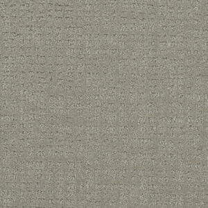 Dreamweaver Carpet Common Ground GRAYSTONE Carpet 2845_6341