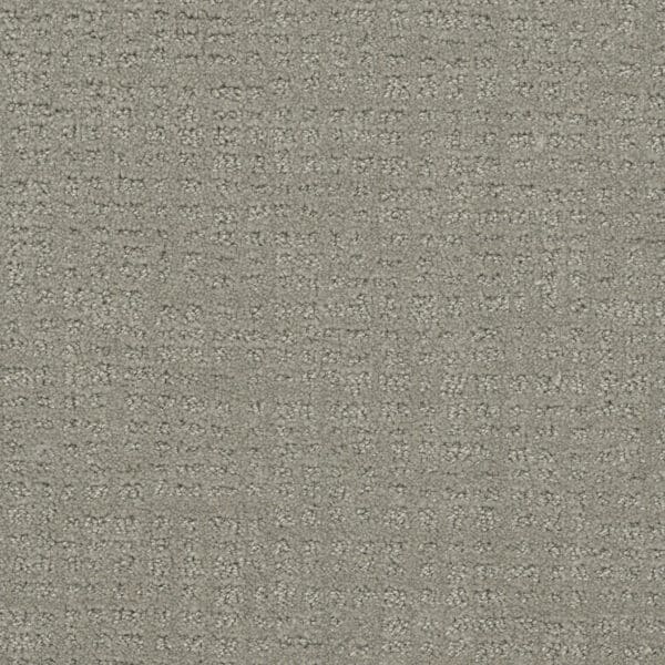 Dreamweaver Carpet Common Ground GRAYSTONE Carpet 2845_6341