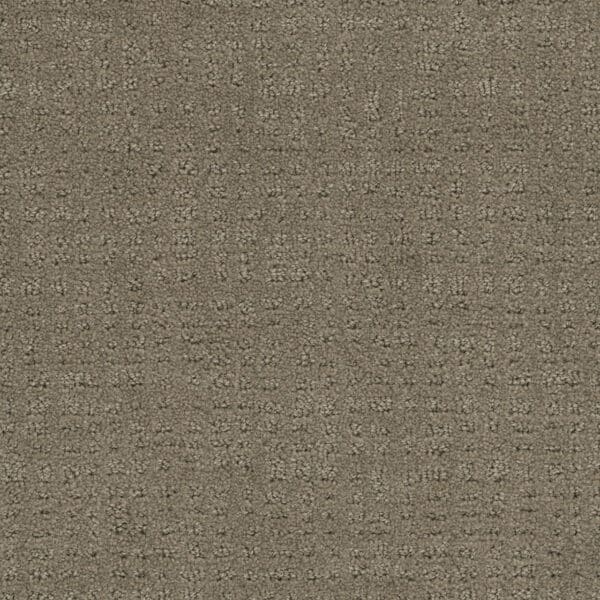 Dreamweaver Carpet Common Ground TOPAZ Carpet 2845_6410