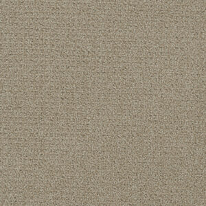 Dreamweaver Carpet Pinpoint Fieldcrest Carpet 2870_6001