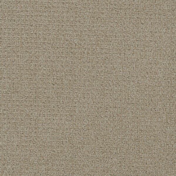 Dreamweaver Carpet Pinpoint Fieldcrest Carpet 2870_6001