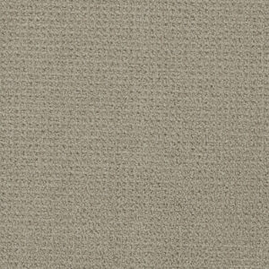 Dreamweaver Carpet Pinpoint Beach House Carpet 2870_6005