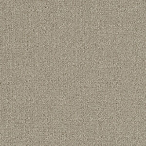 Dreamweaver Carpet Pinpoint Moon Mist Carpet 2870_6006