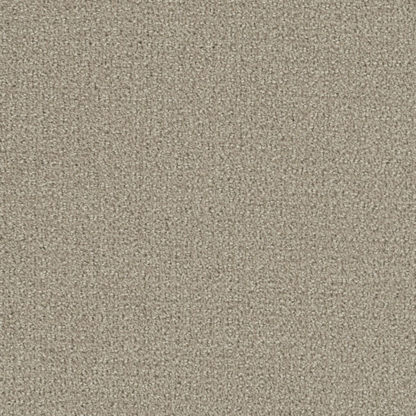 Dreamweaver Carpet Pinpoint Moon Mist Carpet 2870_6006