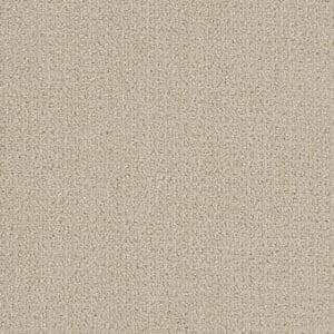 Dreamweaver Carpet Pinpoint Champagne Fizz Carpet 2870_6309