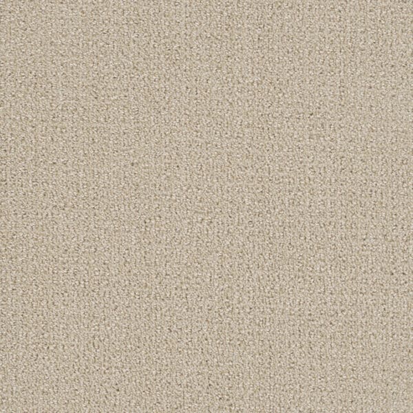 Dreamweaver Carpet Pinpoint Champagne Fizz Carpet 2870_6309