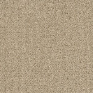 Dreamweaver Carpet Pinpoint Soft Pine Carpet 2870_6317