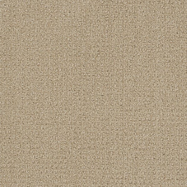 Dreamweaver Carpet Pinpoint Soft Pine Carpet 2870_6317