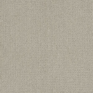 Dreamweaver Carpet Pinpoint Snow Cap Carpet 2870_6319