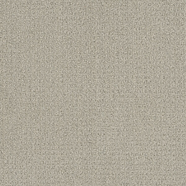 Dreamweaver Carpet Pinpoint Snow Cap Carpet 2870_6319