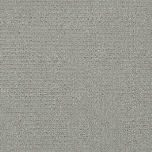 Dreamweaver Carpet Pinpoint Winter Sky Carpet 2870_6327