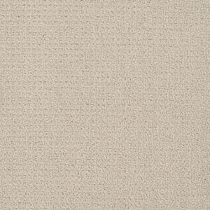 Dreamweaver Carpet Pinpoint Alabaster Carpet 2870_6328
