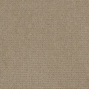 Dreamweaver Carpet Pinpoint Warm Sand Carpet 2870_6339