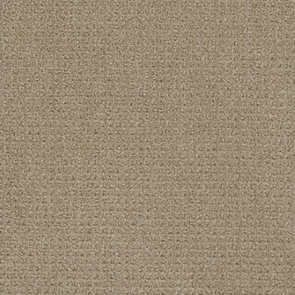 Dreamweaver Carpet Pinpoint Warm Sand Carpet 2870_6339