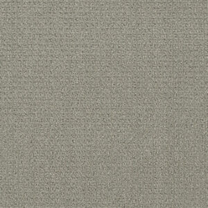 Dreamweaver Carpet Pinpoint Graystone Carpet 2870_6341