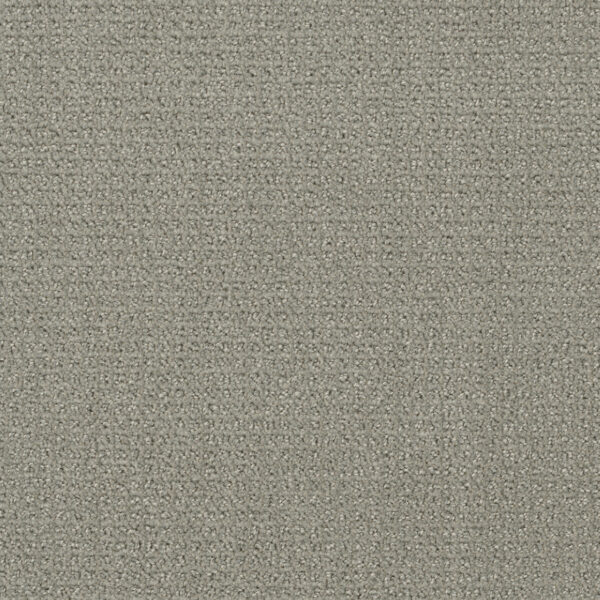 Dreamweaver Carpet Pinpoint Graystone Carpet 2870_6341