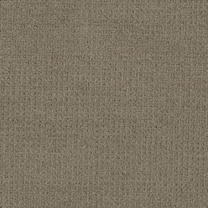 Dreamweaver Carpet Pinpoint Topaz Carpet 2870_6410