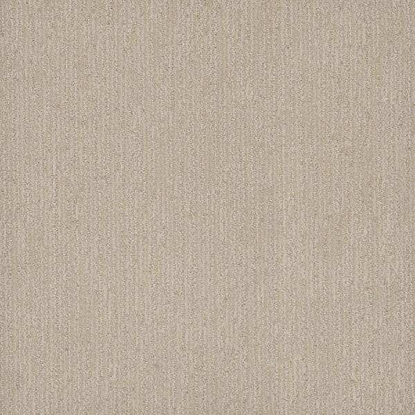 Dreamweaver Carpet Smooth Sailing Beach Butter Carpet 2875_2838