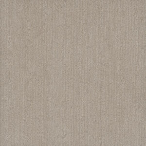 Dreamweaver Carpet Smooth Sailing Cosmo Carpet 2875_2849