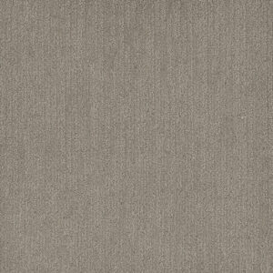 Dreamweaver Carpet Smooth Sailing Greige Carpet 2875_2850
