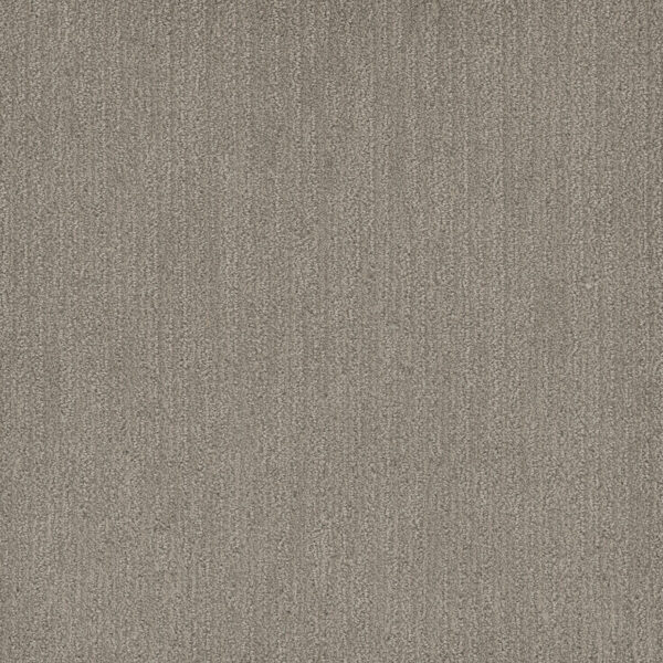Dreamweaver Carpet Smooth Sailing Greige Carpet 2875_2850