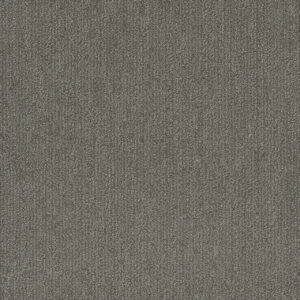 Dreamweaver Carpet Smooth Sailing Deep Secret Carpet 2875_2857